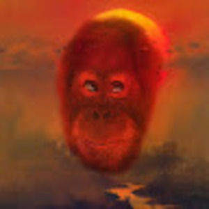 Meet your Posher, Phil